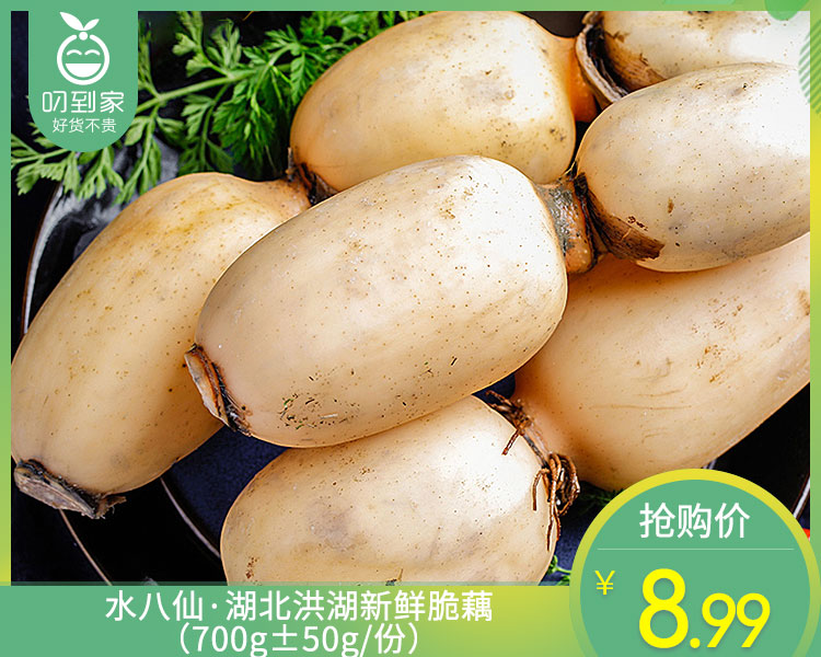 水八仙·湖北洪湖新鲜脆藕（700g±50g/份）