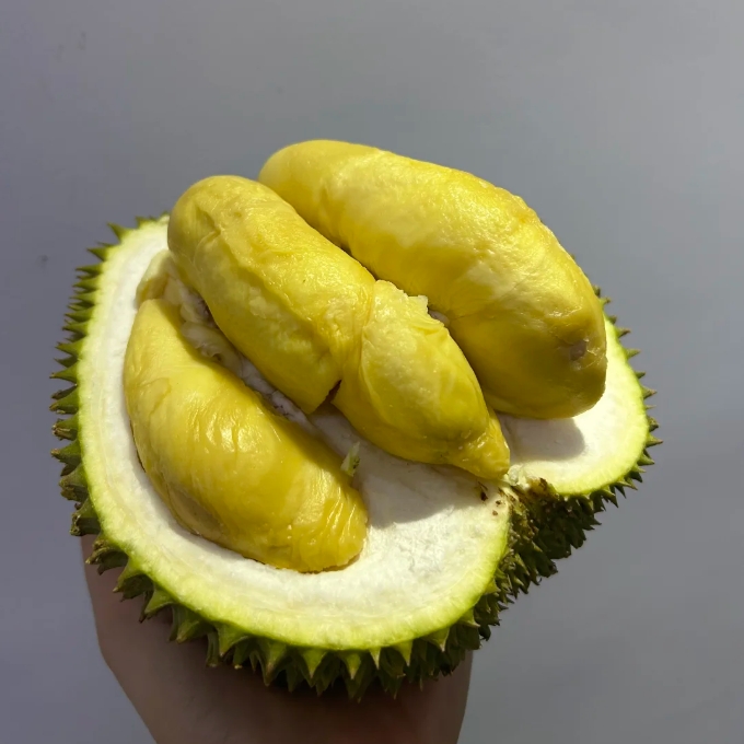 【季节限定】泰国老树甲仑榴莲整果顺丰包邮多规格可选【下单务必看售后须知】