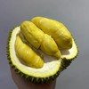 【季节限定】泰国老树甲仑榴莲整果顺丰包邮多规格可选【下单务必看售后须知】 商品缩略图0