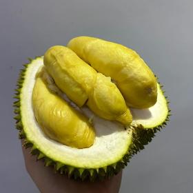 【季节限定】泰国老树甲仑榴莲整果顺丰包邮多规格可选【下单务必看售后须知】