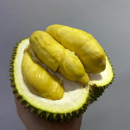 【季节限定】泰国老树甲仑榴莲整果顺丰包邮多规格可选【下单务必看售后须知】 商品图0