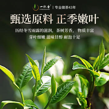 一杯香茶叶乌龙茶铁观音安溪特级清香型250g礼盒装送礼自己喝散装茗茶 /水饮冲调 /茗茶 /铁观音 商品图6