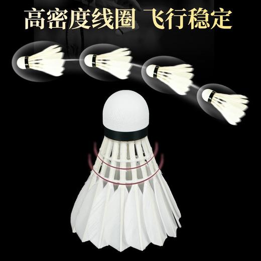 华美CT700羽毛球一级鹚鸪鸭大方飞行稳定12只装77速77速羽毛球 商品图2
