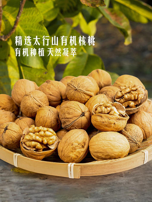 MM 山姆 Member's Mark 有机初榨核桃仁油 1L（4*250ml） 商品图4