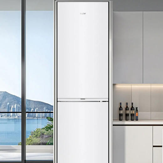 海尔（Haier）冰箱 BCD-285WGHC2DEWV 商品图1