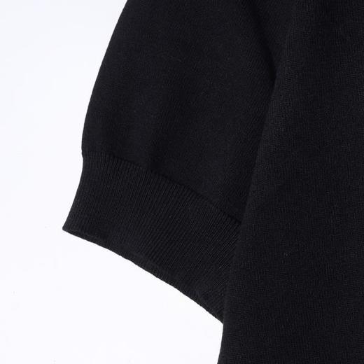 SDSA男装2026新款高贵轻奢极简风纯色纽扣翻领针织短袖T恤百搭潮 商品图3