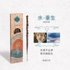 圣马德雷【阿根廷线香】【五行系列】香气疗愈方法 古法天然原料与手工制作【明星们都在用哦】】 商品缩略图4