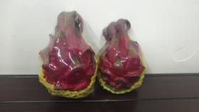 红心火龙果