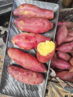 『海南桥头地瓜』新鲜采挖，粉糯细腻，红薯界的爱马仕