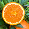 特惠活动『秭归福罗斯特脐橙』江边果园，新鲜春橙，浓甜爆汁，肉嫩无籽 商品缩略图3