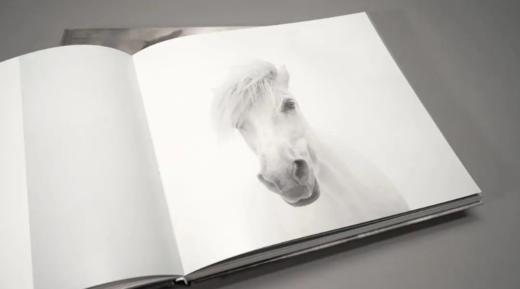 张耕畦《诗与平衡：张耕畦摄影作品集》 商品图6