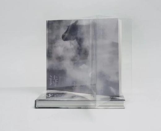 张耕畦《诗与平衡：张耕畦摄影作品集》 商品图1