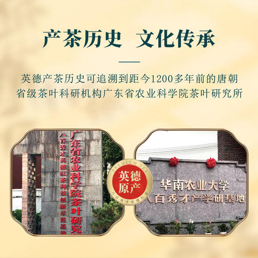 【超高性价比】八百秀才龙纹罐英红九号500g（250g
一罐，一共发两罐） 商品图3