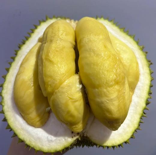 【季节限定】泰国老树甲仑榴莲整果顺丰包邮多规格可选【下单务必看售后须知】 商品图1