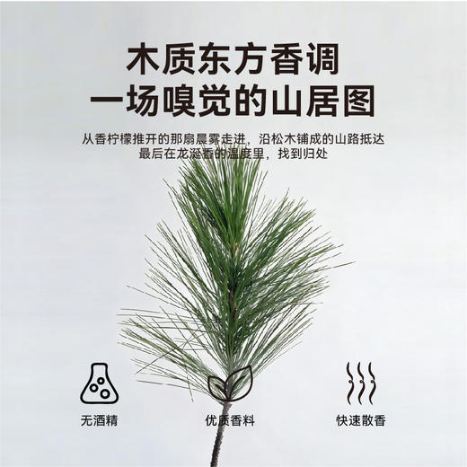 代字行丨竹影青蓝香薰蜡烛植物精油蜡烛室内香氛礼物汝瓷蜡烛 商品图3