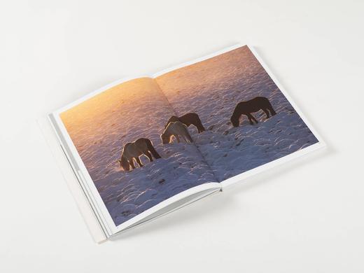 李刚《雪原马》摄影画册 马文化 北京美术摄影出版社 商品图4
