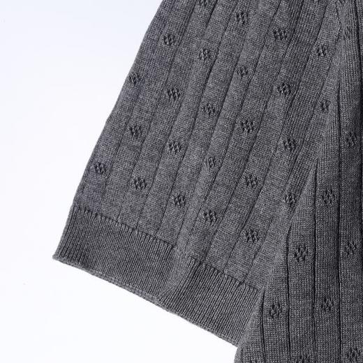 SDSA男装2026新款高贵轻奢简约波浪板竖纹翻领针织短袖T恤百搭潮 商品图3