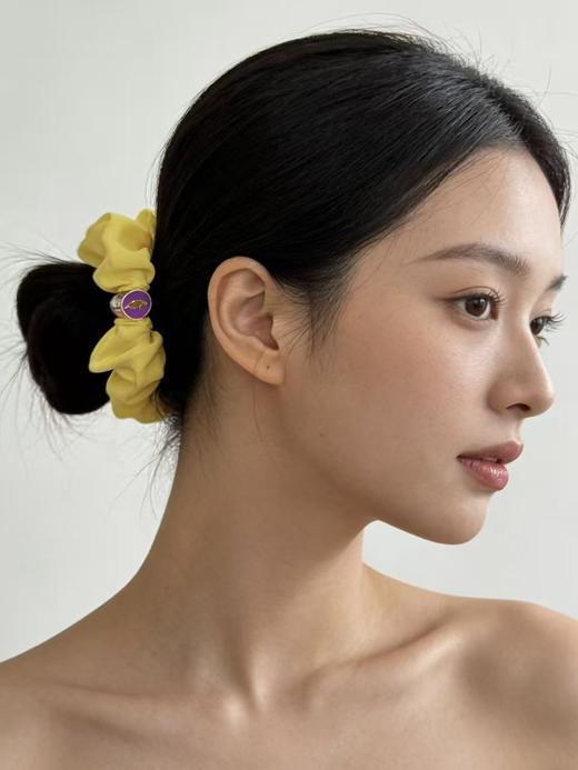一盒4个。Cotopaxi  日本小众🇯🇵户外品牌 高弹无痕、不勒发 糖果色冰丝大肠发圈 商品图1