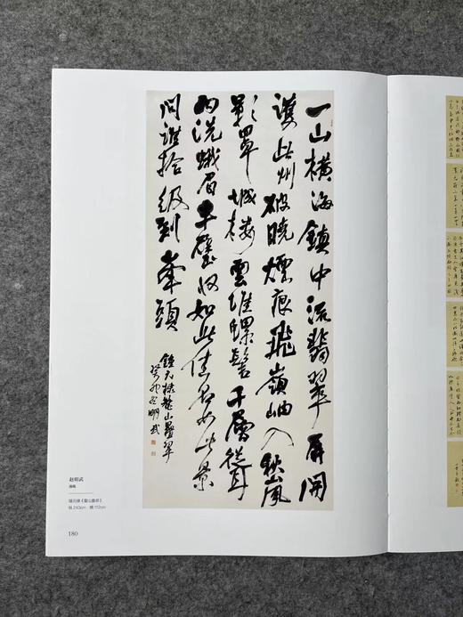 正版现货【十三届国展-行草作品】投展必备，大八开，418页 ，书法出版社 商品图3