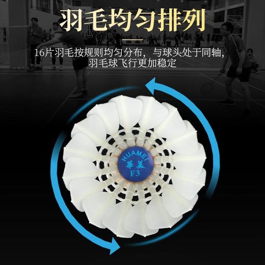 华美F3羽毛球比赛级耐打不易烂飞行稳定防风室内外训练比赛用球 商品图3