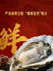 MM 山姆 李锦记 旧庄蚝油 750g*2 商品缩略图4
