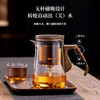顶壶泡茶器磁吸飘逸杯泡茶壶办公室家用单人高端玻璃内胆茶水分离茶具 商品缩略图1