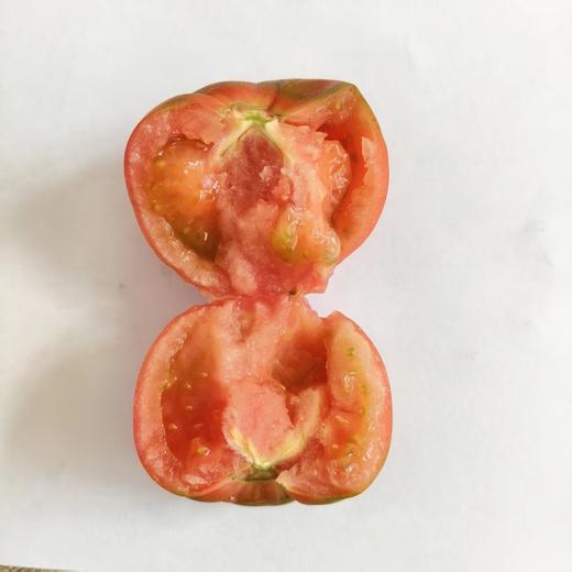 生态小红番茄 西红柿 口感佳 脆甜回甘 甜度高 汁水足 风味浓 生食比水果还好吃 商品图9