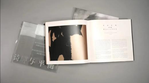 张耕畦《诗与平衡：张耕畦摄影作品集》 商品图3