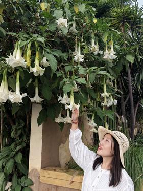 闪照第615期 沉淀