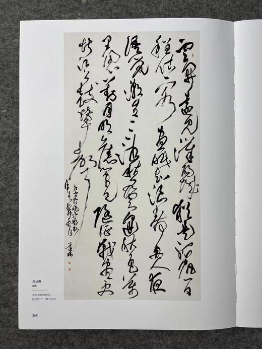 正版现货【十三届国展-行草作品】投展必备，大八开，418页 ，书法出版社 商品图5