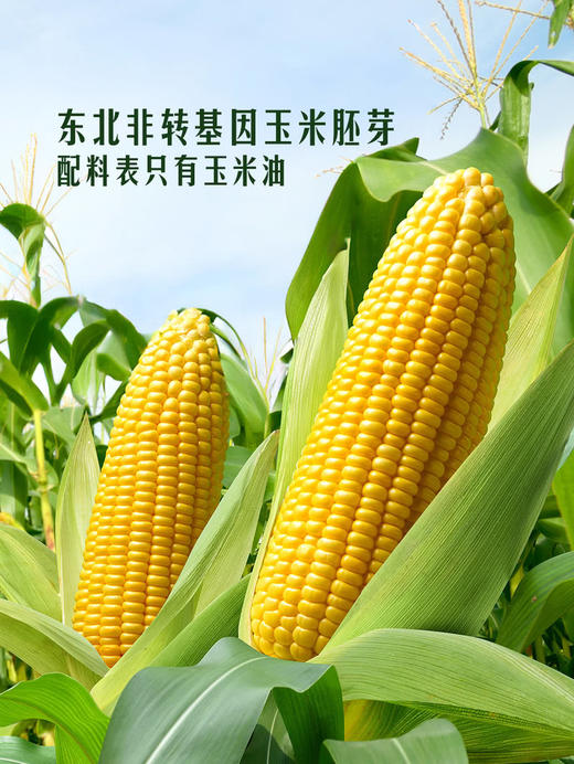 MM 山姆 Member's Mark 零反式脂肪玉米油 5L 商品图4
