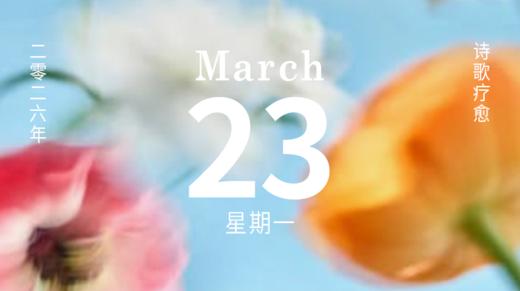 活在珍贵的人间，本身就是一件值得庆祝的事 商品图0