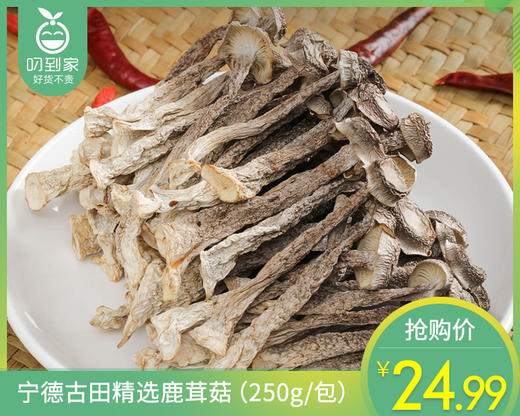 宁德古田精选鹿茸菇（250g/包）生产日期: 3月1日 商品图0