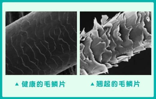 二店m 【AURARO无叶负离子吹风机】 商品图4