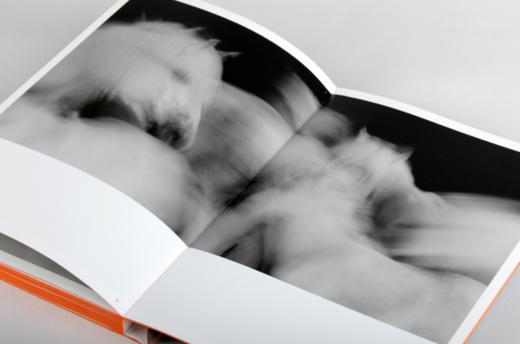 李刚《相与抽象》摄影画册  马文化 浙江摄影出版社 商品图6