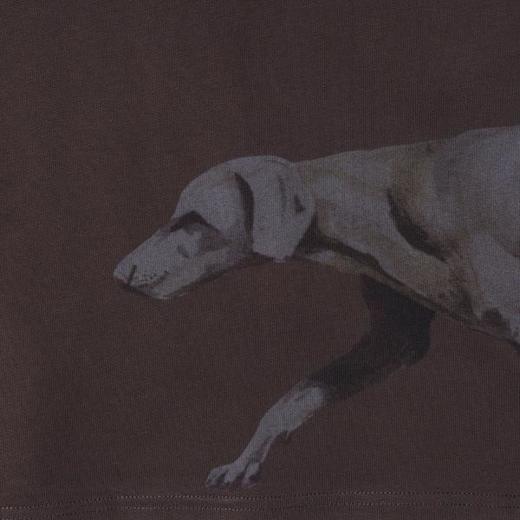 SDSA男装2026新款高贵轻奢小众设计动物印花圆领短袖T恤宽松百搭 商品图3