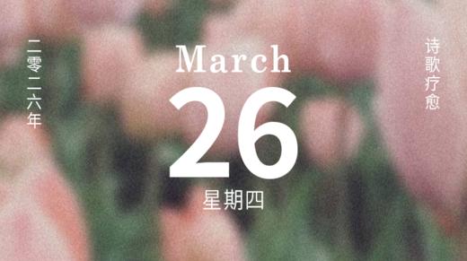 旷野，在那里等你很久了 商品图0