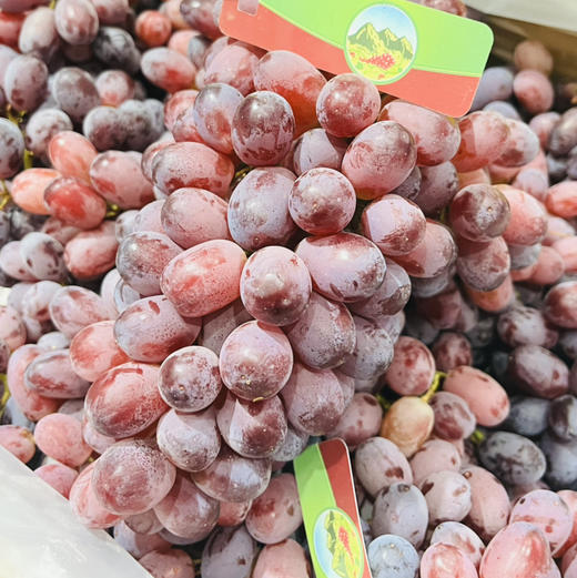 澳洲克森无籽红提 一盒5斤装   甜蜜多汁  无籽 （提子运输过程中摇晃可能轻微掉粒，介意慎拍~） 商品图4