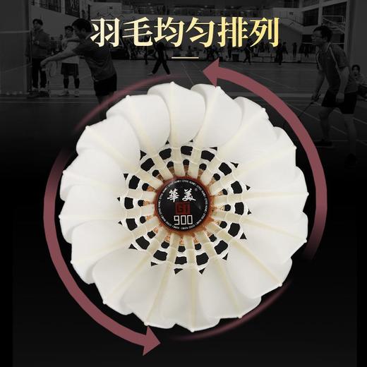 华美GT900正品羽毛球飞行稳定不易烂俱乐部专业比赛12只装鹅毛 商品图3