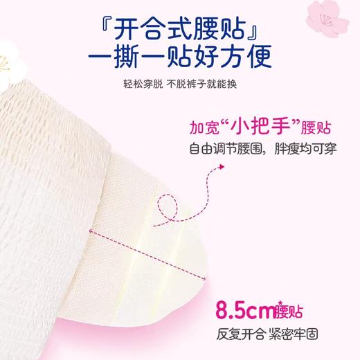 樱恋日安裤女性卫生裤卫生巾L-XL码5条（90～1500斤） 商品图2
