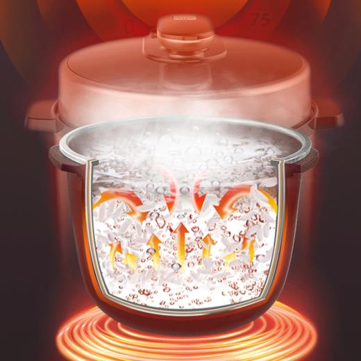 【自营】屹后 5L双胆电压力锅高压锅电饭锅　QH-013 商品图2