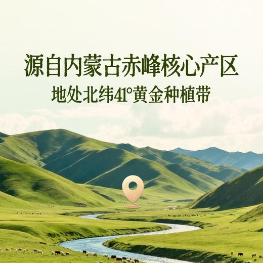 MM 山姆 有机绿豆 2.3kg 商品图2