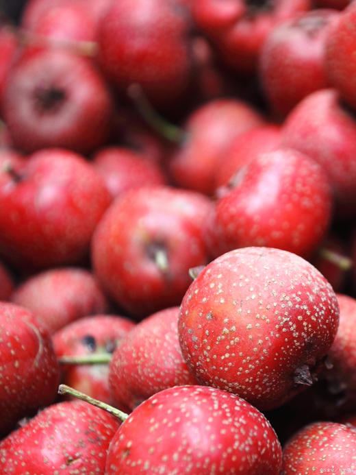 在春天生发。生姜柠檬组合。 商品图2