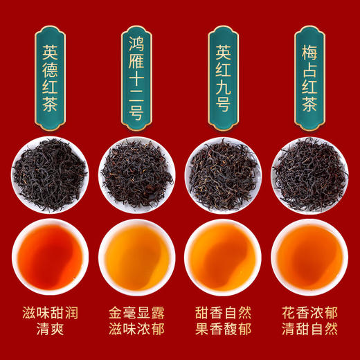 【英德四大红茶礼盒】八百秀才英红九号英德红茶鸿雁十二号梅占礼盒装500g 商品图4