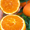 特惠活动『秭归福罗斯特脐橙』江边果园，新鲜春橙，浓甜爆汁，肉嫩无籽 商品缩略图8