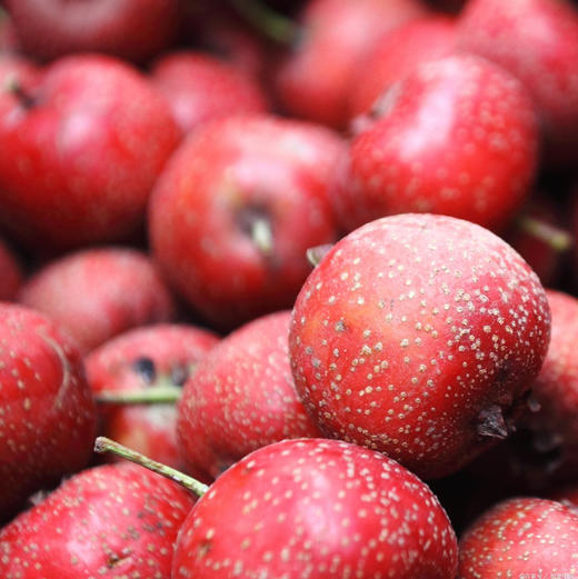 菠萝山楂组合 商品图1