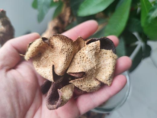 二店f 福利必抢！闽缘茶轩10年新会陈皮500g/罐 商品图7