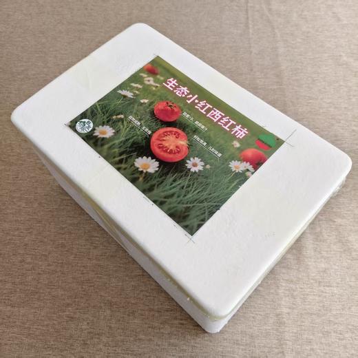 生态小红番茄 西红柿 口感佳 脆甜回甘 甜度高 汁水足 风味浓 生食比水果还好吃 商品图14