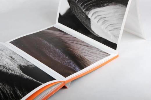 李刚《相与抽象》摄影画册  马文化 浙江摄影出版社 商品图5