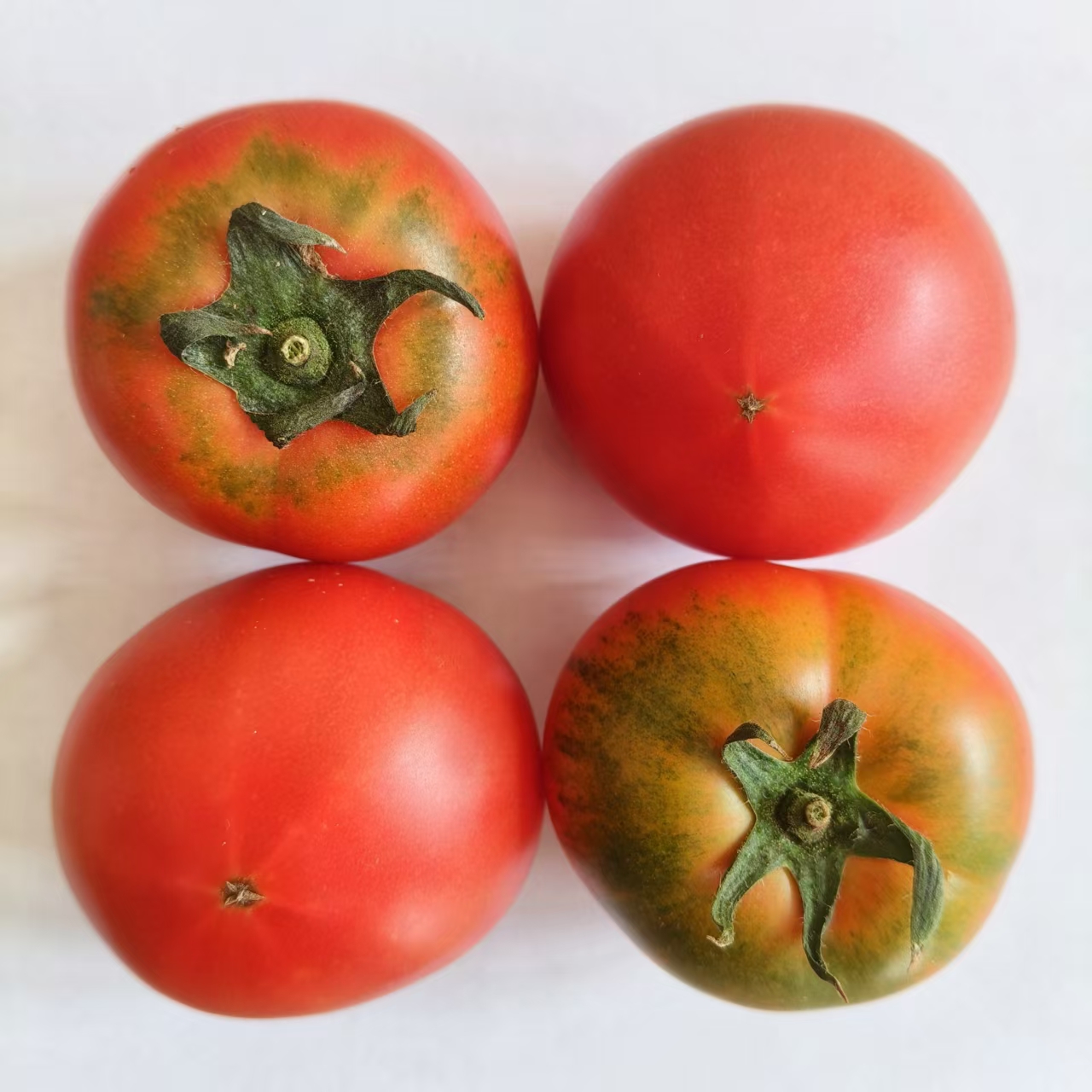 生态小红番茄 西红柿 口感佳 脆甜回甘 甜度高 汁水足 风味浓 生食比水果还好吃